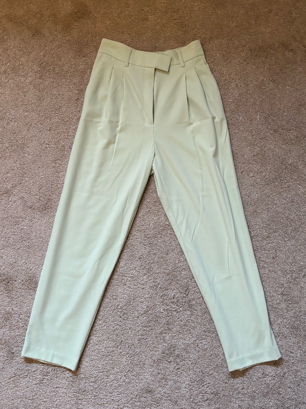Dynamite High-Waist Pleated Trousers in Light Mint
